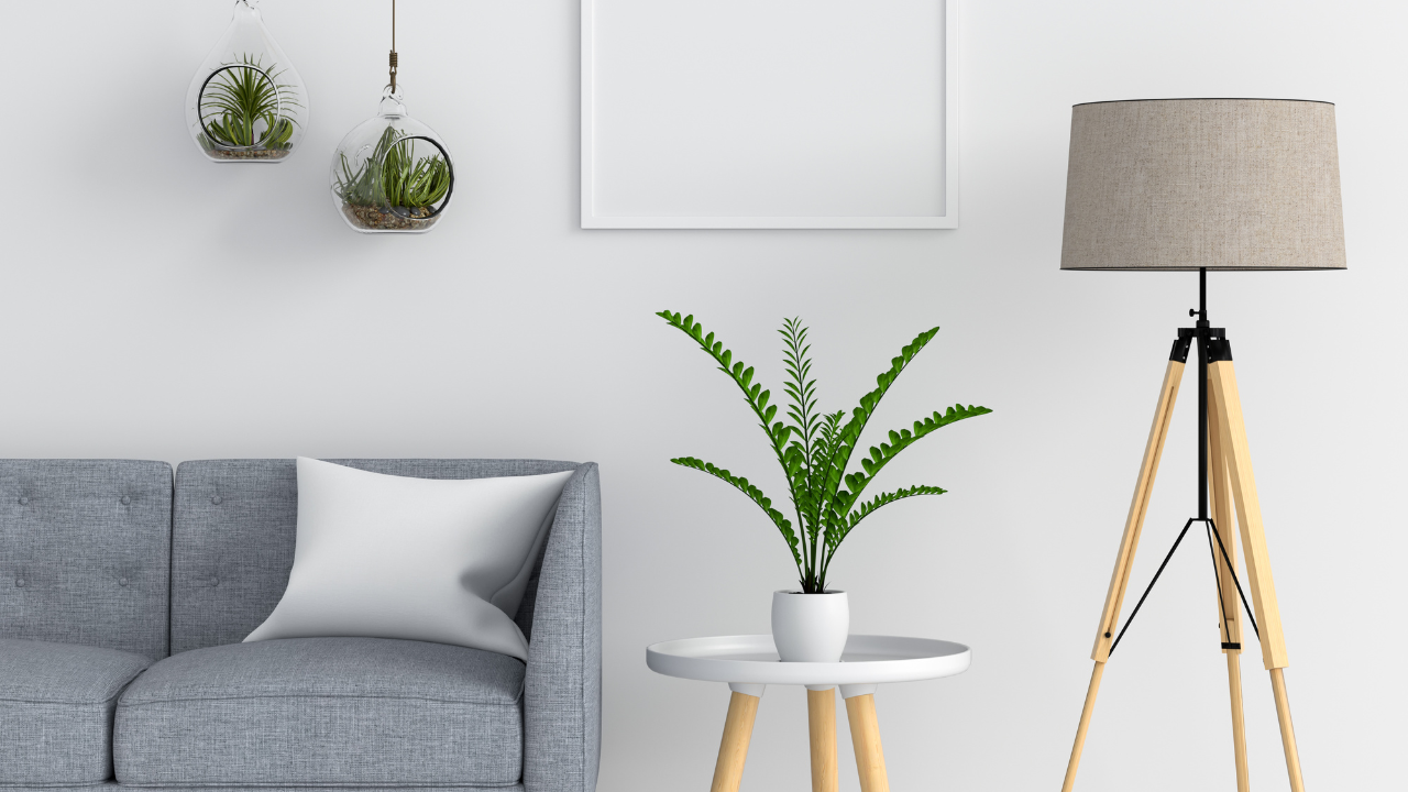 Home Improvement: Essential Ideas to Elevate Your Space