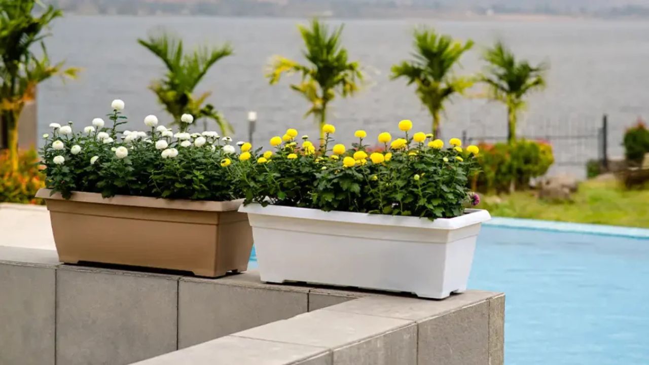 Balcony Garden