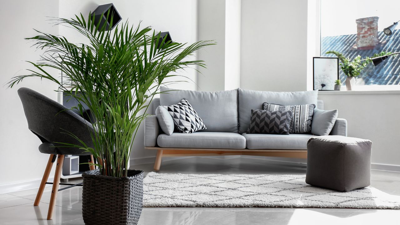 Rustic Decor