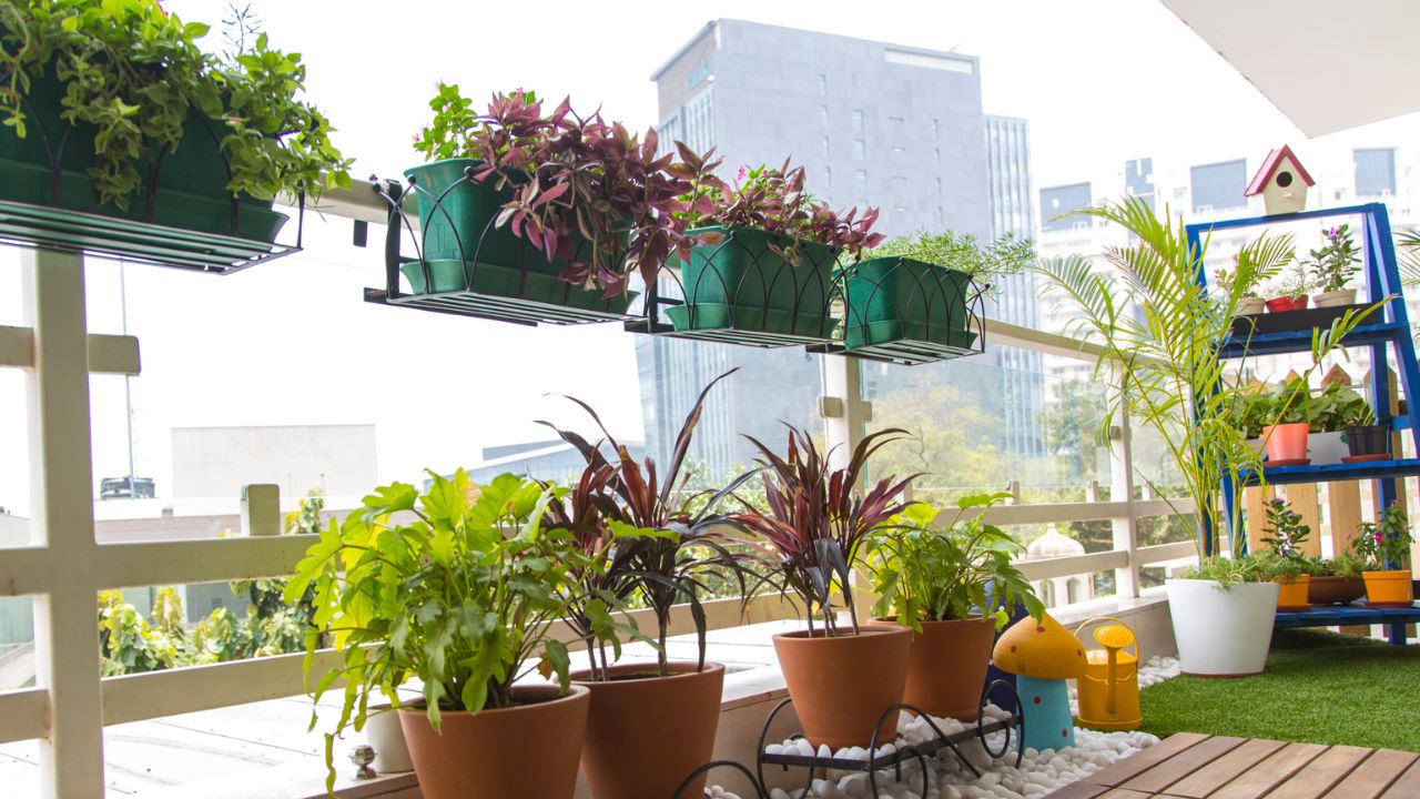 Balcony Garden
