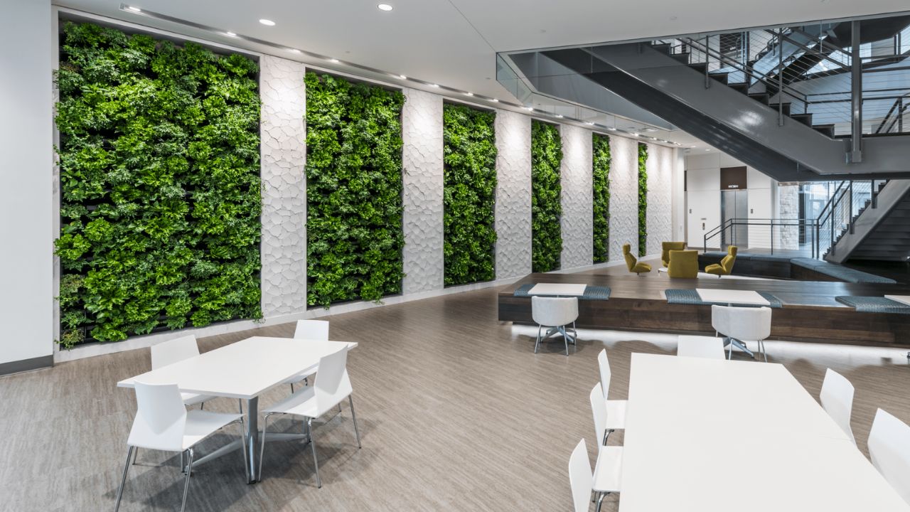 Wall Design Ideas